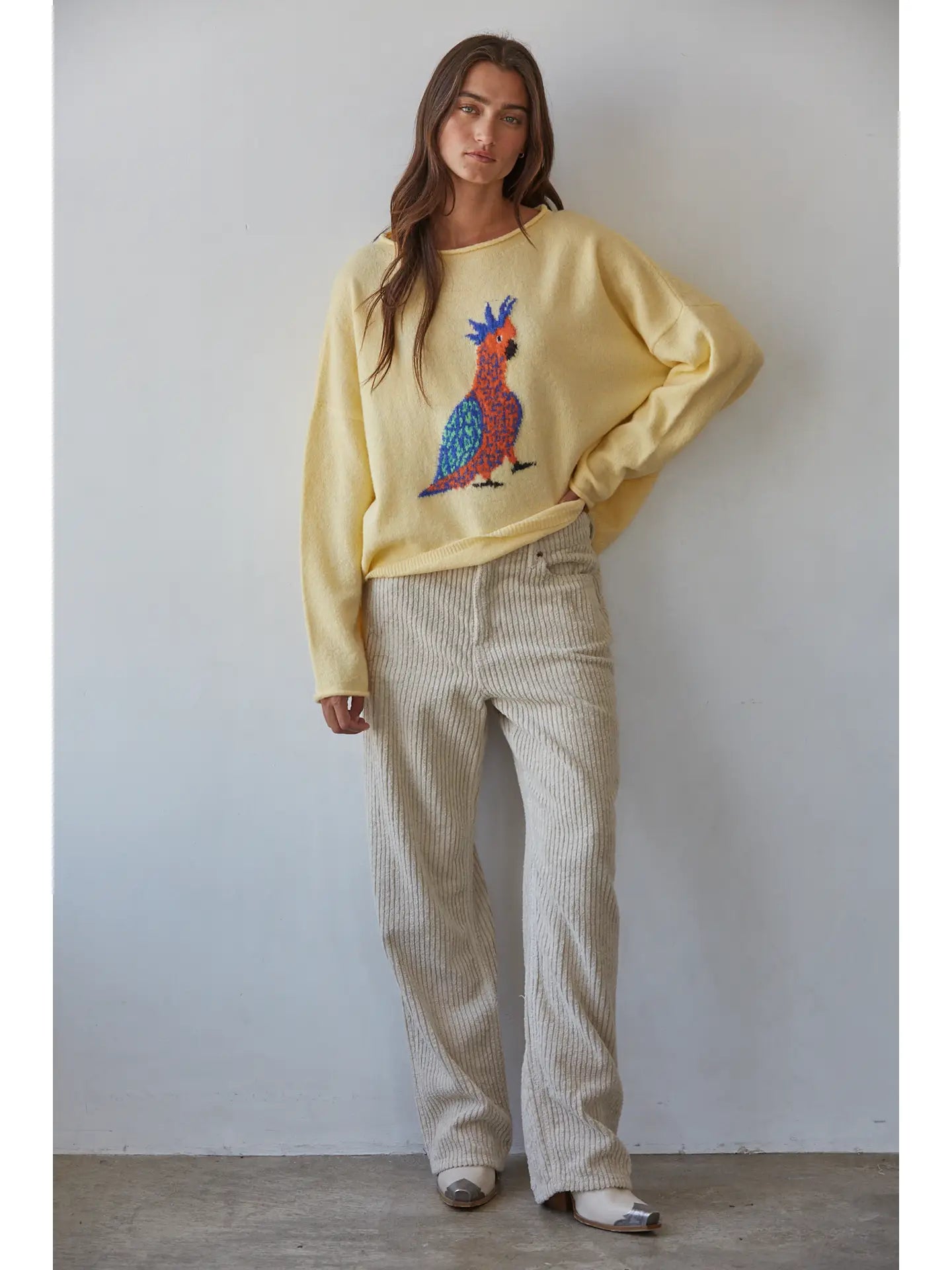 Knit Sweater Graphic Bird Animal Print Pullover
