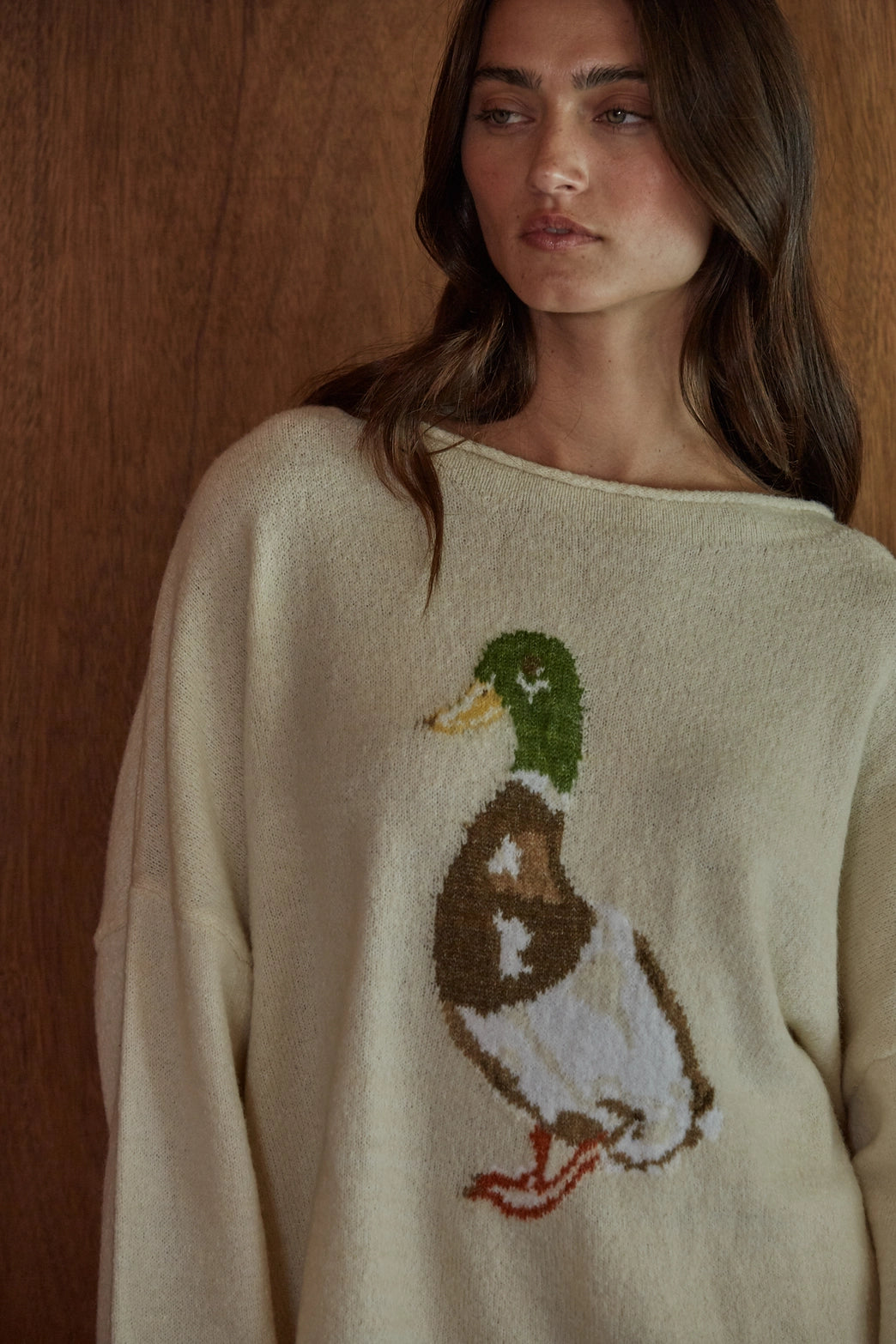 Knit Sweater Graphic Duck Animal Print Pullover