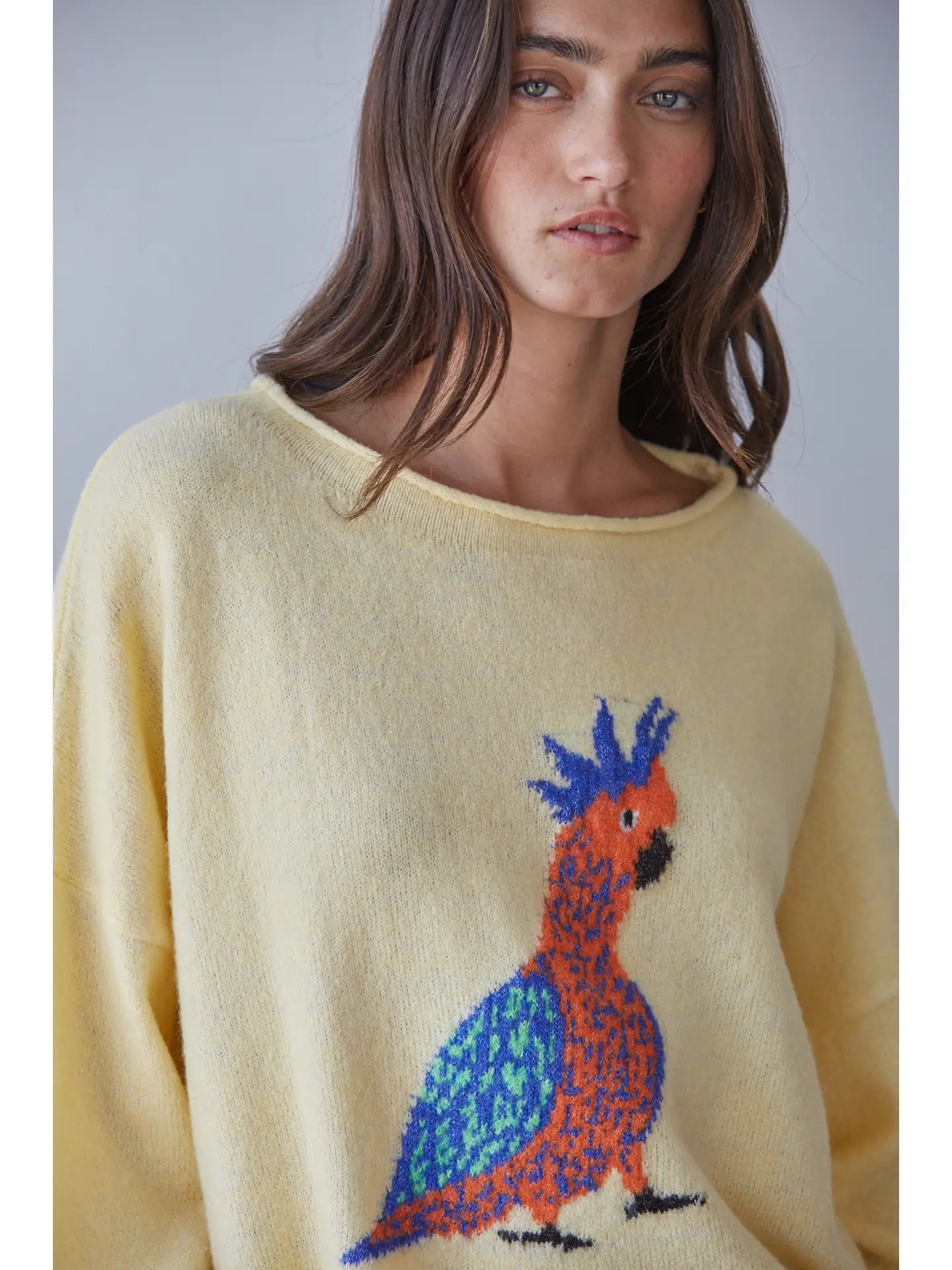 Knit Sweater Graphic Bird Animal Print Pullover