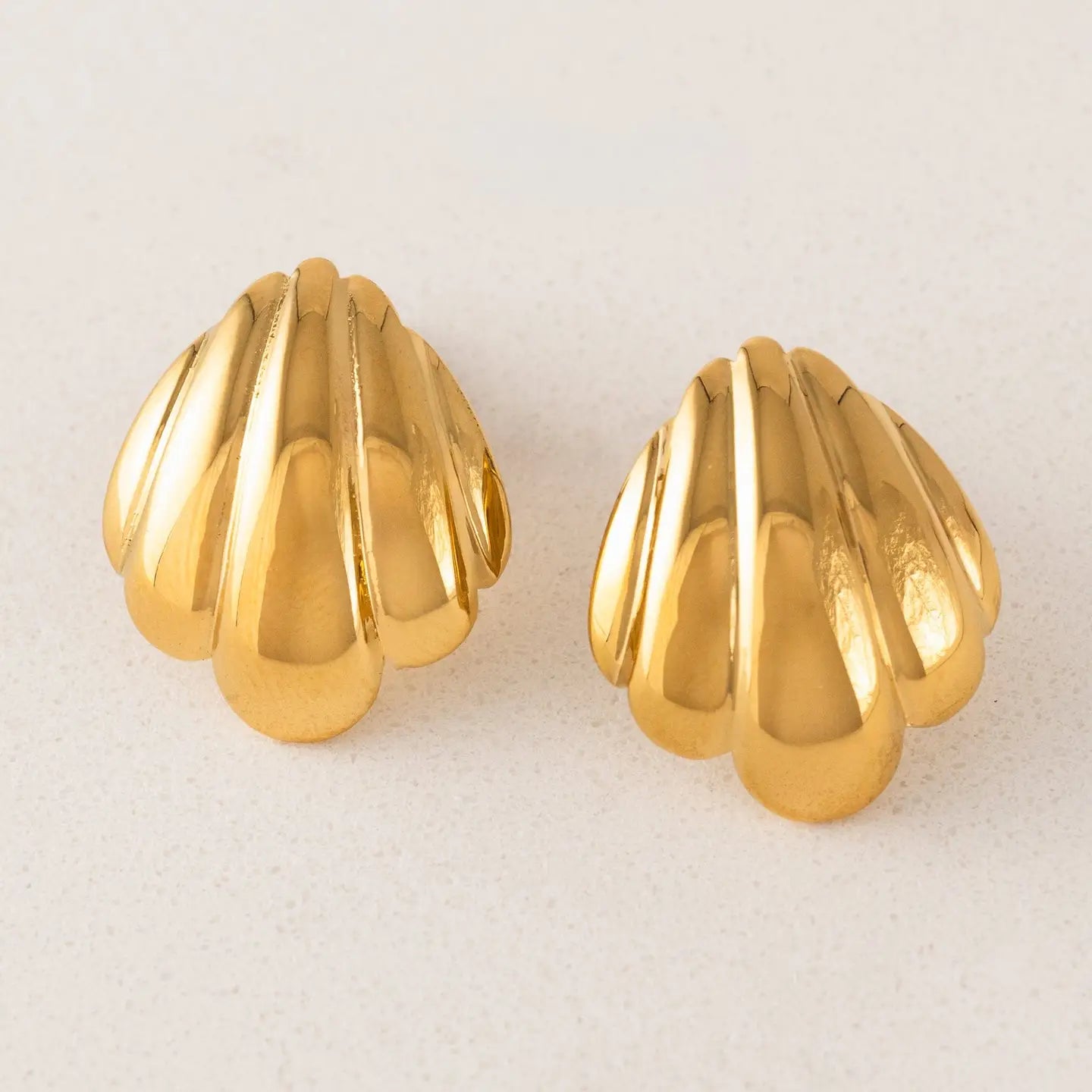 Shell Post Earrings