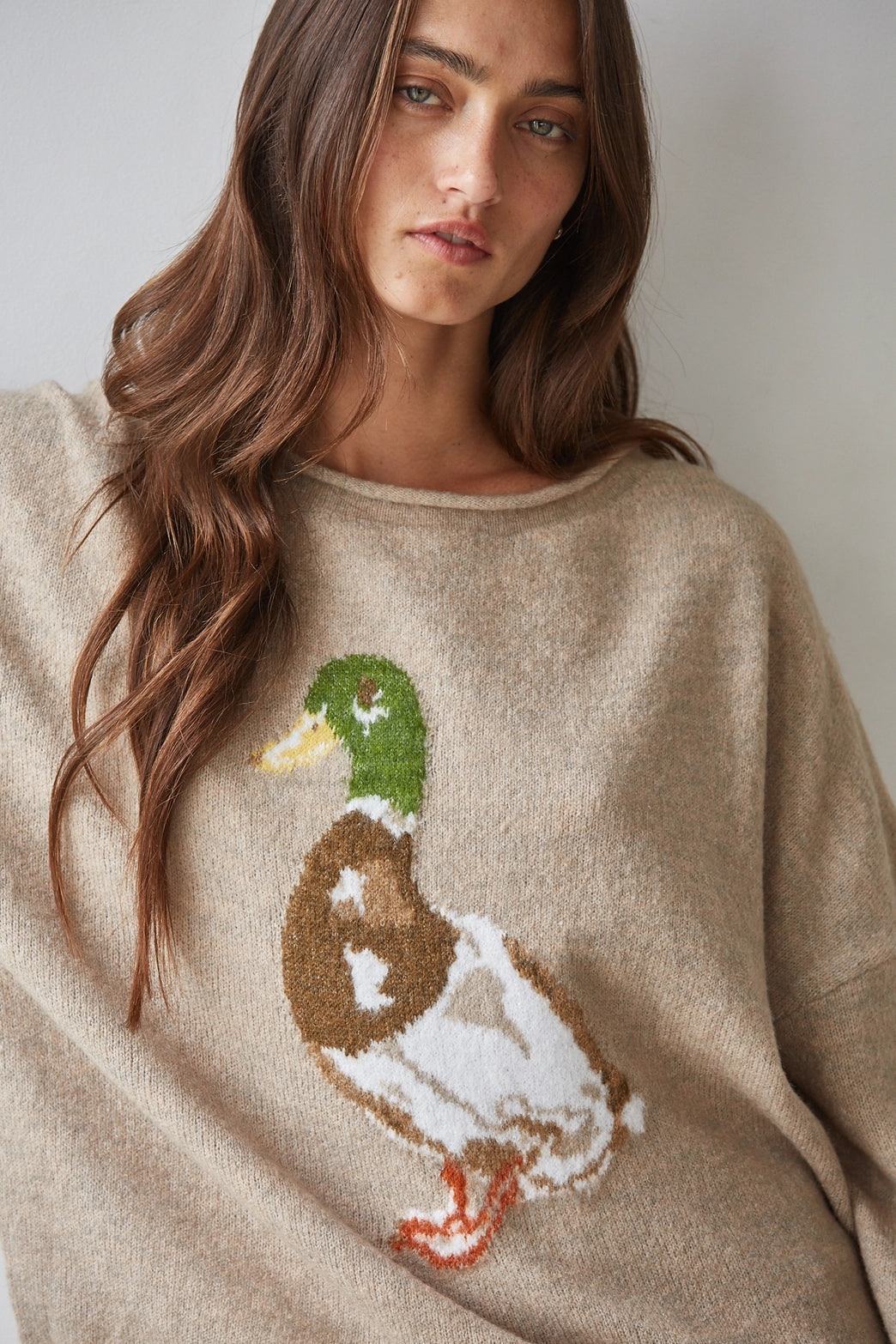 Knit Sweater Graphic Duck Animal Print Pullover