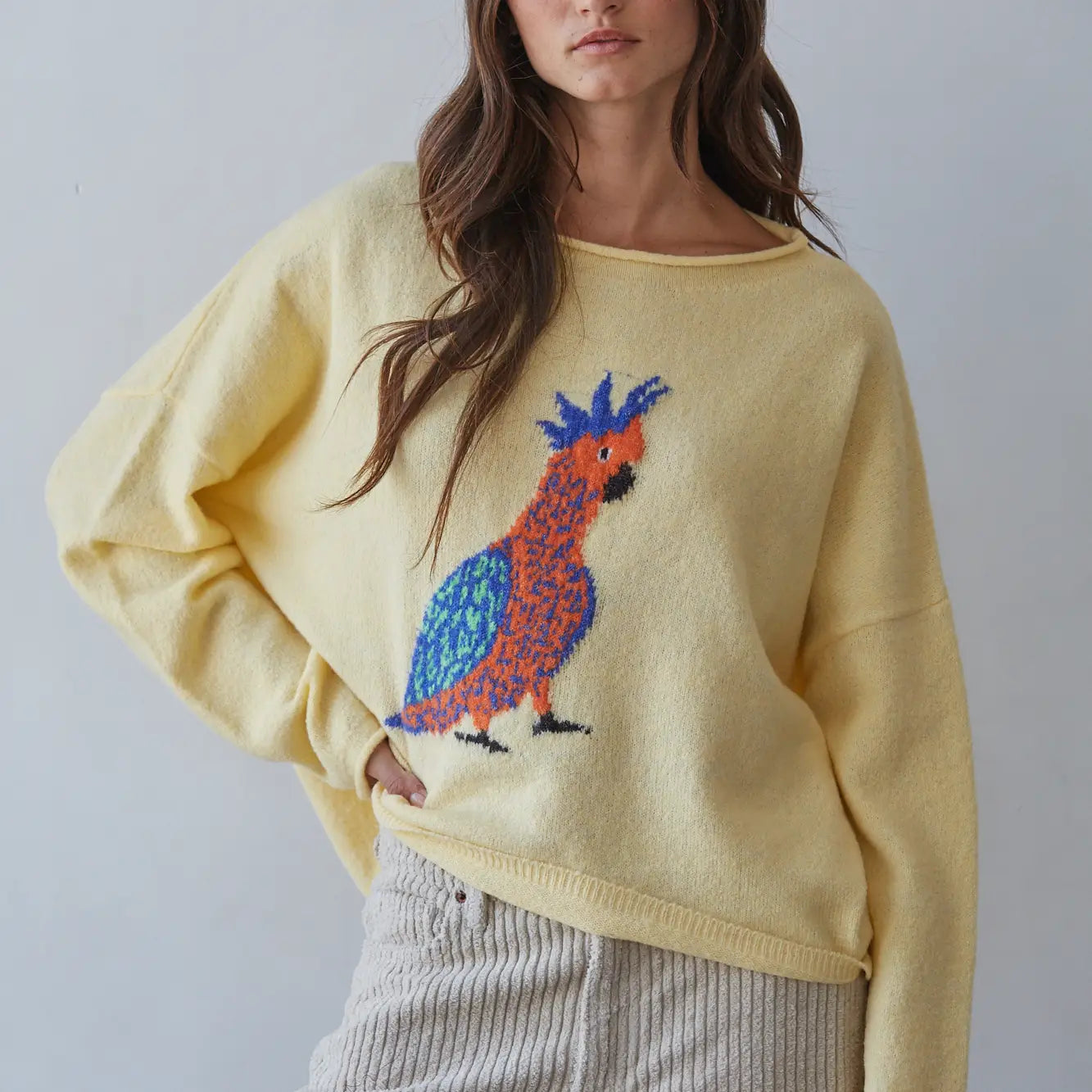 Knit Sweater Graphic Bird Animal Print Pullover